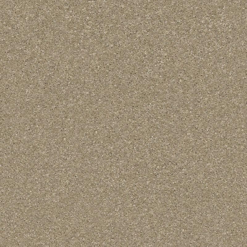 Shaw Floors Pet Perfect Plus Basic Rules Net Khaki