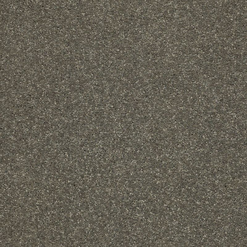 Shaw Floors Pet Perfect Plus Basic Rules Net Portobello