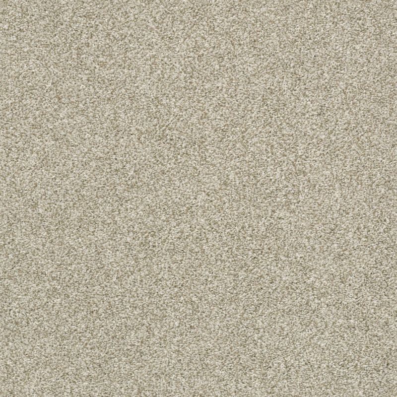 Shaw Floors Pet Perfect Plus Just A Hint I Net Eggshell
