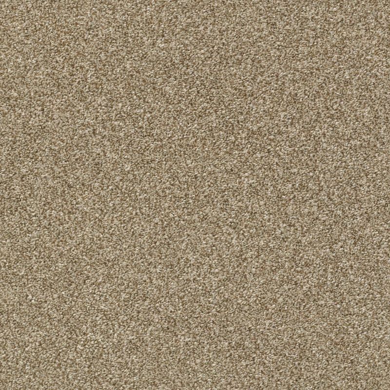 Shaw Floors Pet Perfect Plus Just A Hint II Net Gold Rush