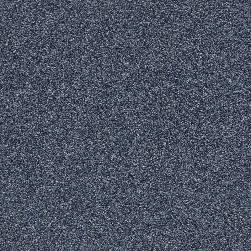 Shaw Floors Pet Perfect Plus Just A Hint II Net Indigo