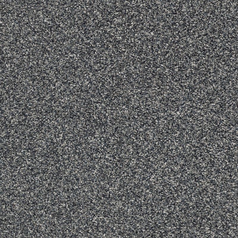 Shaw Floors Pet Perfect Plus Perpetual I Net Steel