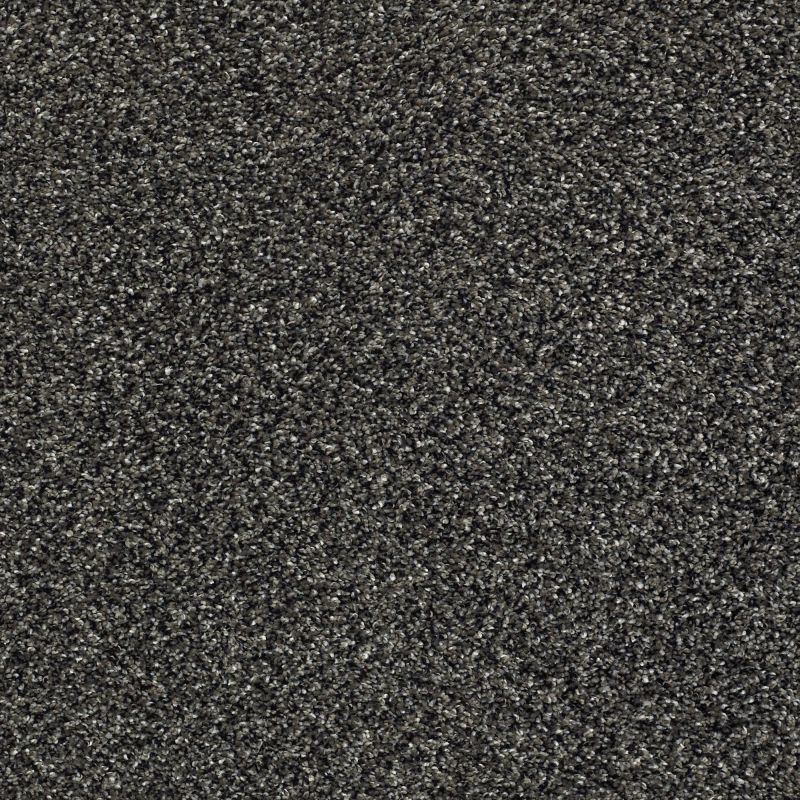 Shaw Floors Pet Perfect Plus Perpetual II Net Truffle
