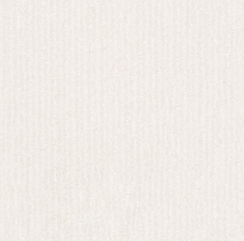 Shaw Floors Pet Perfect Plus Outside The Lines Net Super Fine