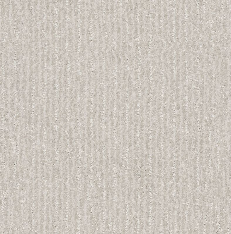 Shaw Floors Pet Perfect Plus Outside The Lines Net Dew