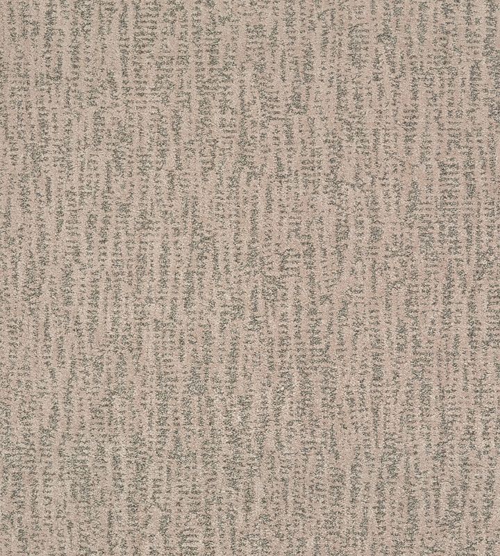 Shaw Floors Pet Perfect Plus Obvious Choice Net Toast