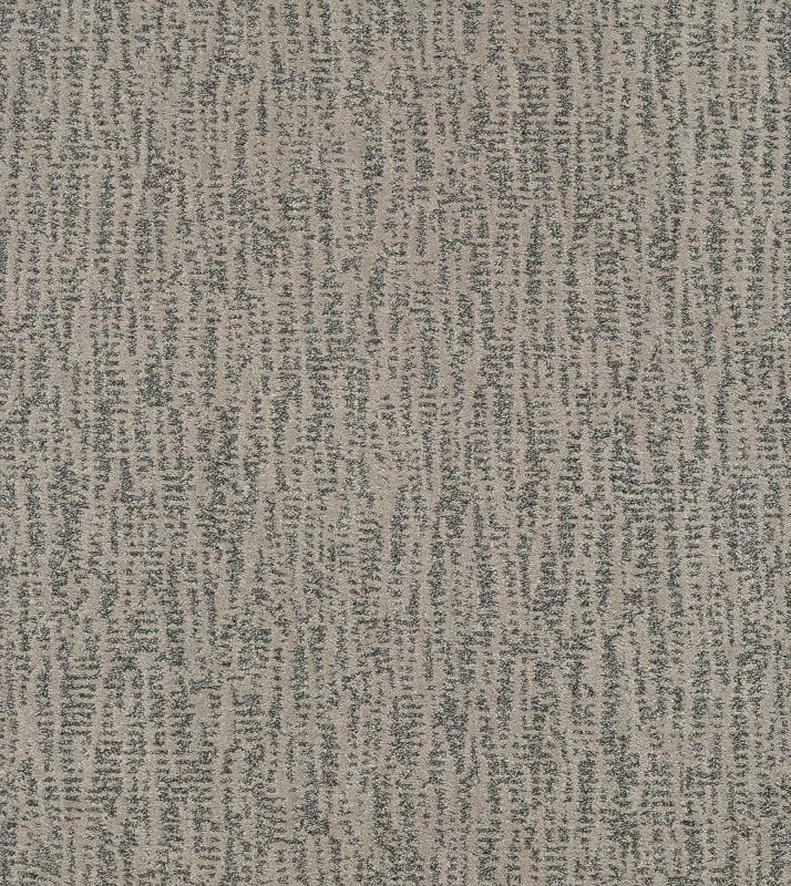 Shaw Floors Pet Perfect Plus Obvious Choice Net Sterling