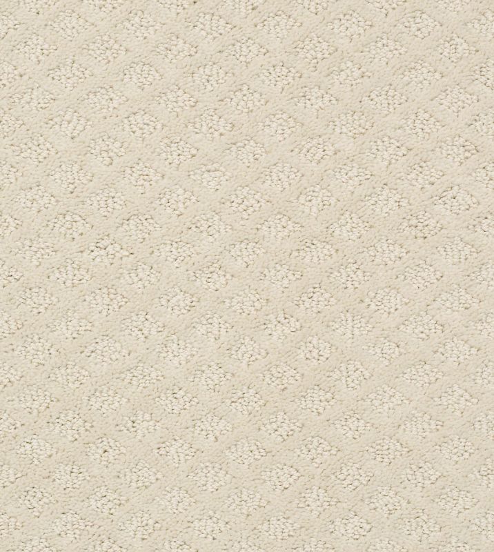 Shaw Floors Foundations Entwined With You Net Alabaster