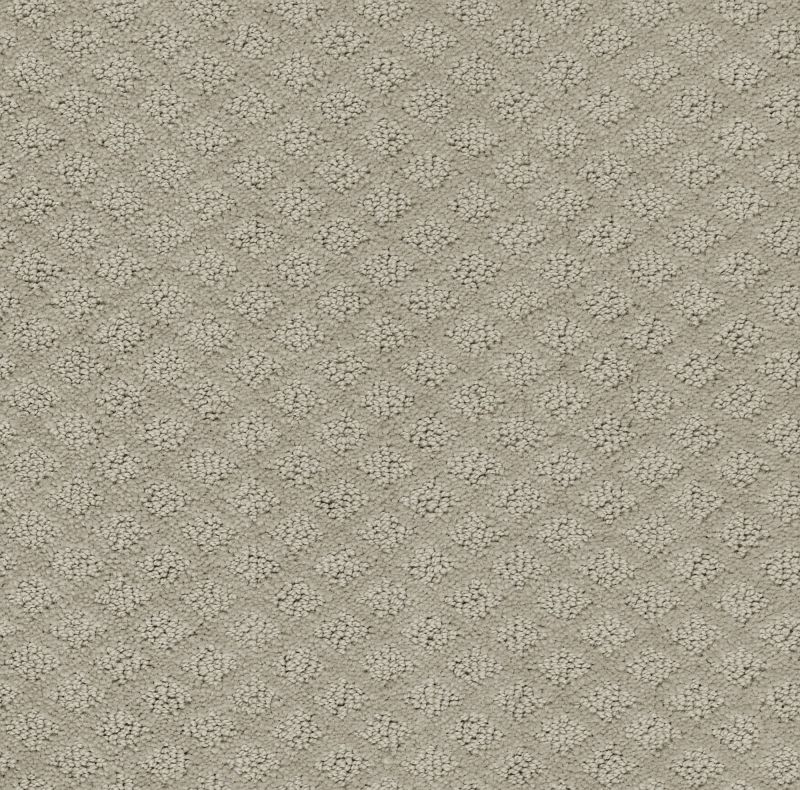 Shaw Floors Foundations Entwined With You Net Silhouette