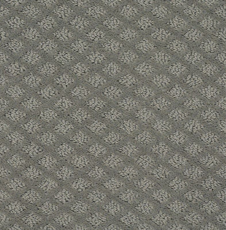Shaw Floors Foundations Entwined With You Net Metal