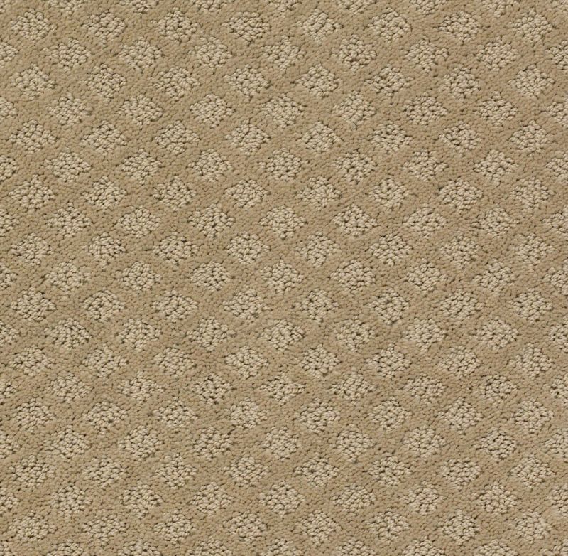 Shaw Floors Foundations Entwined With You Net Biscotti
