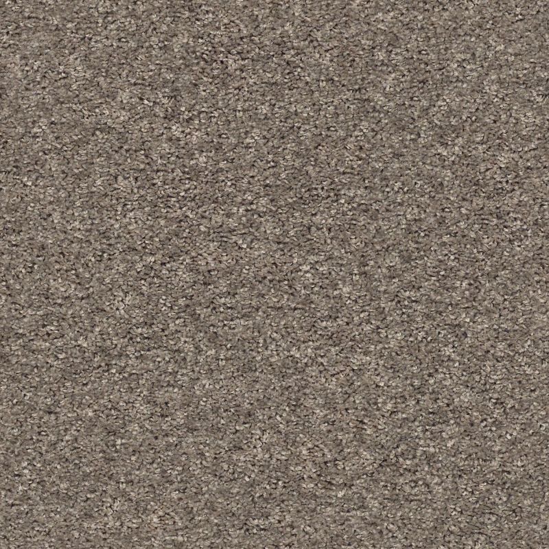 Shaw Floors Value Collections Shake It Up Solid Net Mountain Top