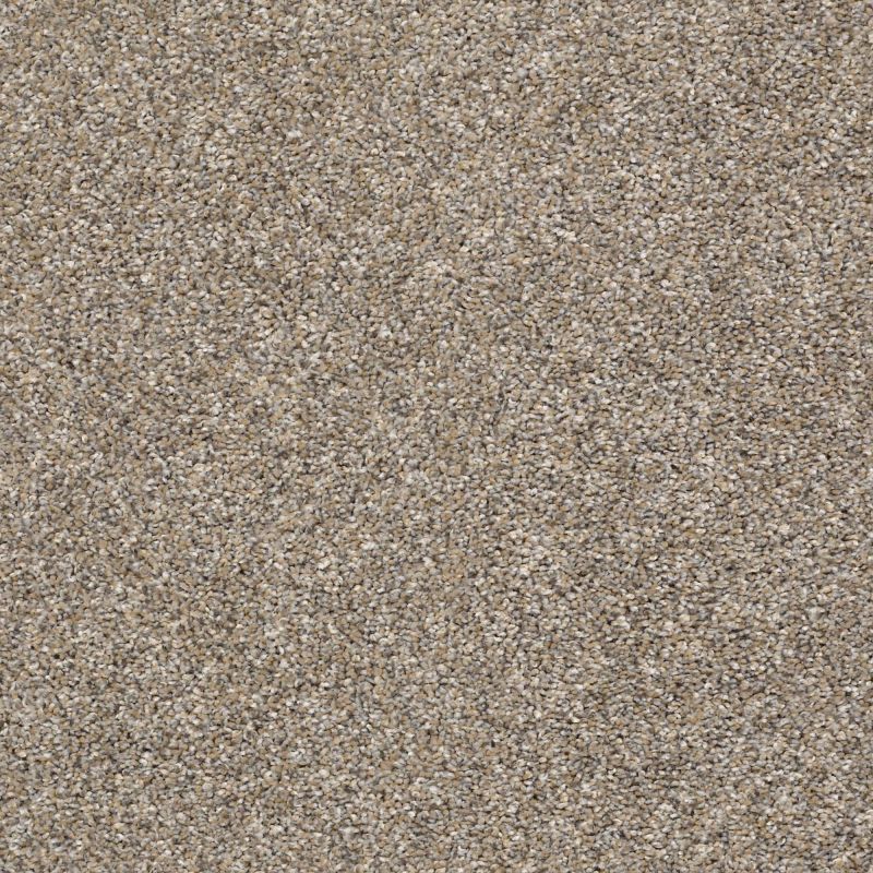 Shaw Floors Simply The Best All Over It II Weathered