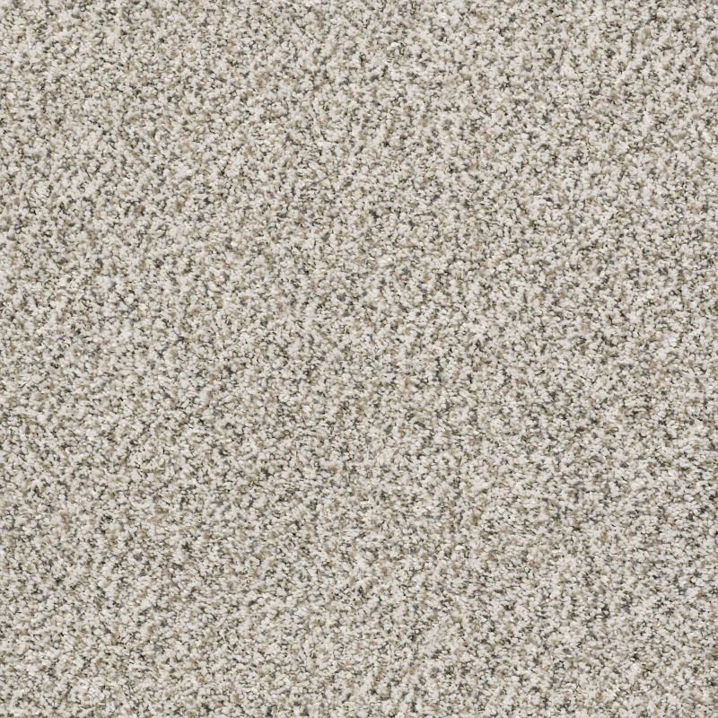 Shaw Floors Simply The Best All Set I Smoky Gray
