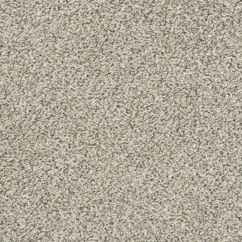 Shaw Floors Simply The Best All Set II Atlantic Sand