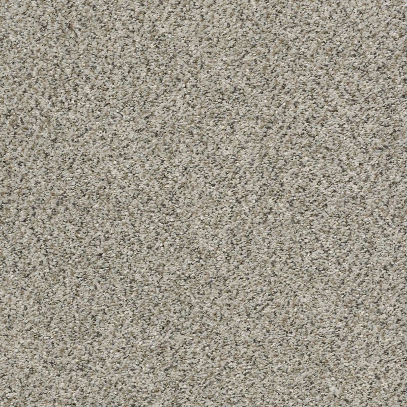 Shaw Floors Simply The Best All Set II Silversmith