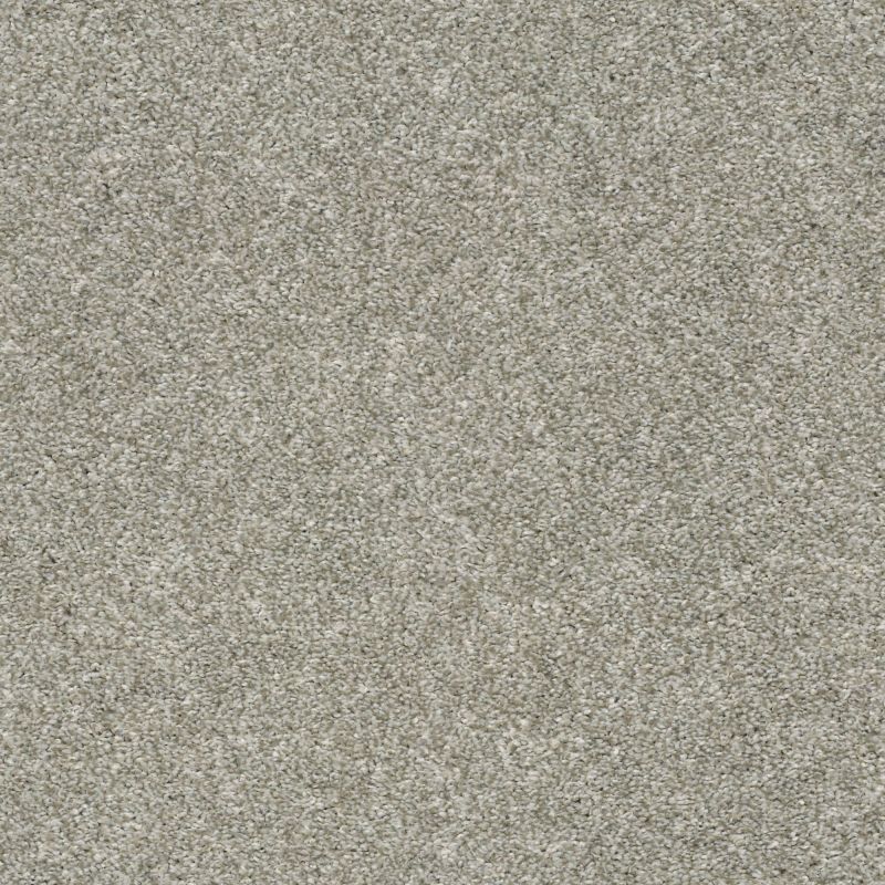 Shaw Floors Simply The Best All Over It I Net London Fog