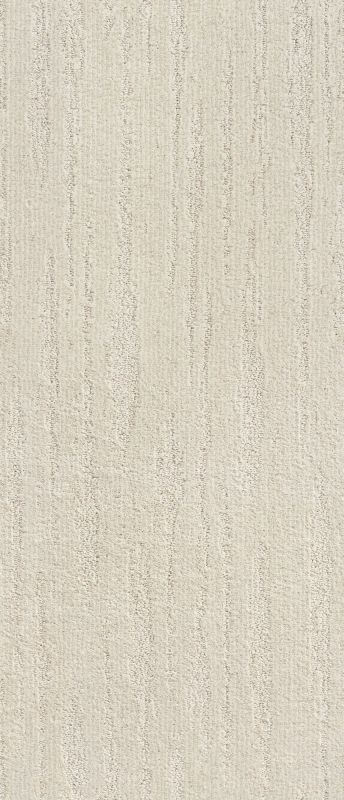 Shaw Floors Simply The Best All The Way Net Stucco