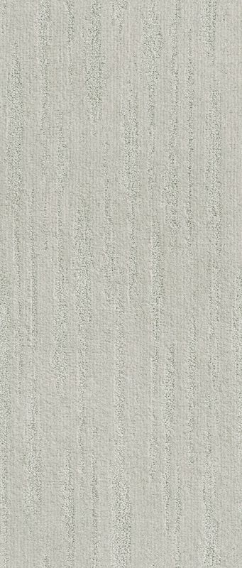 Shaw Floors Simply The Best All The Way Net Cloudy Gray