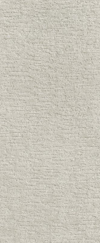 Shaw Floors Simply The Best All In One Net Cloudy Gray