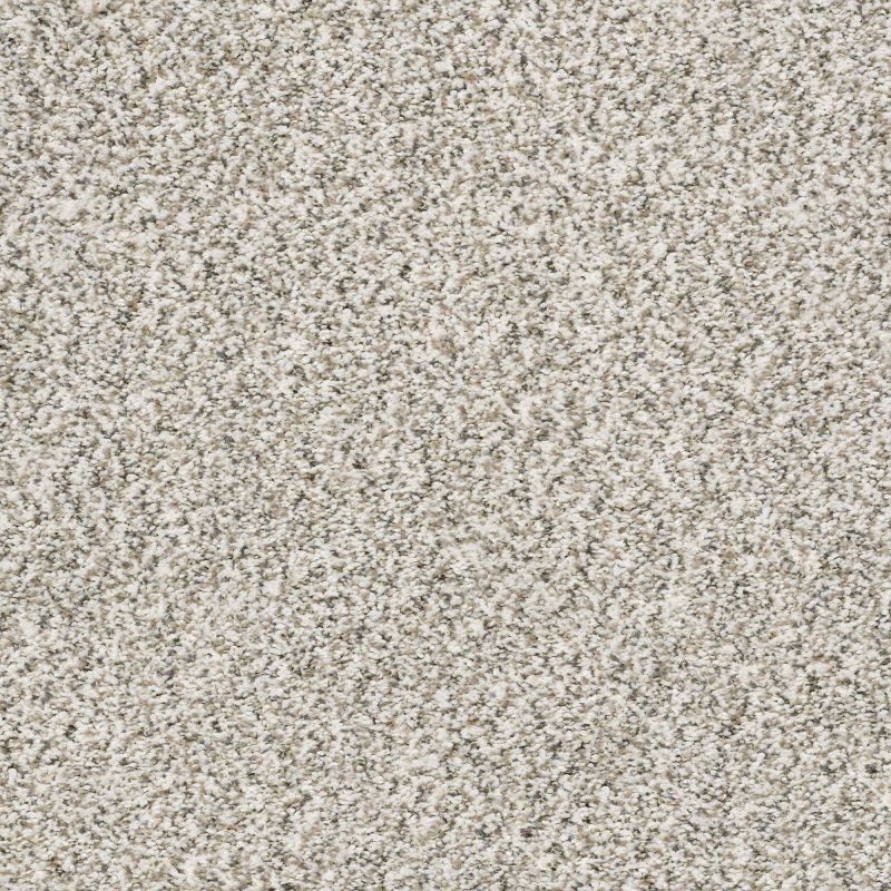 Shaw Floors Simply The Best All Set I Net Quartz