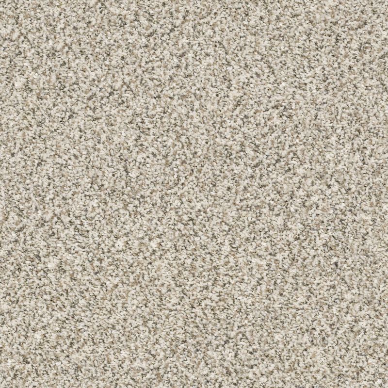 Shaw Floors Simply The Best All Set I Net Goose Feather