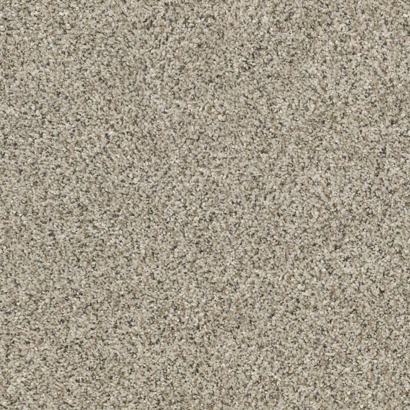 Shaw Floors Simply The Best All Set I Net River Rock