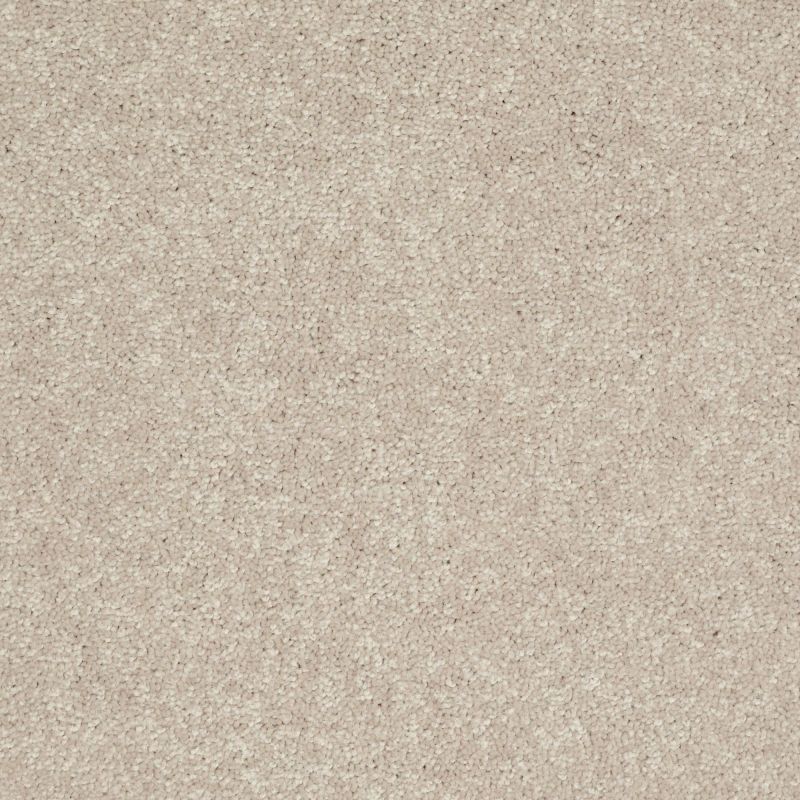 Shaw Floors Value Collections Nantucket Summer 12' Dove