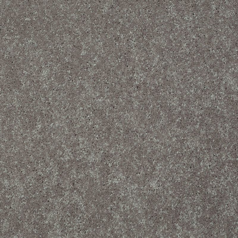 Shaw Floors Value Collections Main Stay 12' Mocha Frost