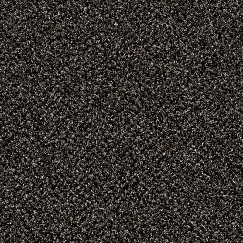 Shaw Floors Value Collections Accents For Sure 12' Iron Age