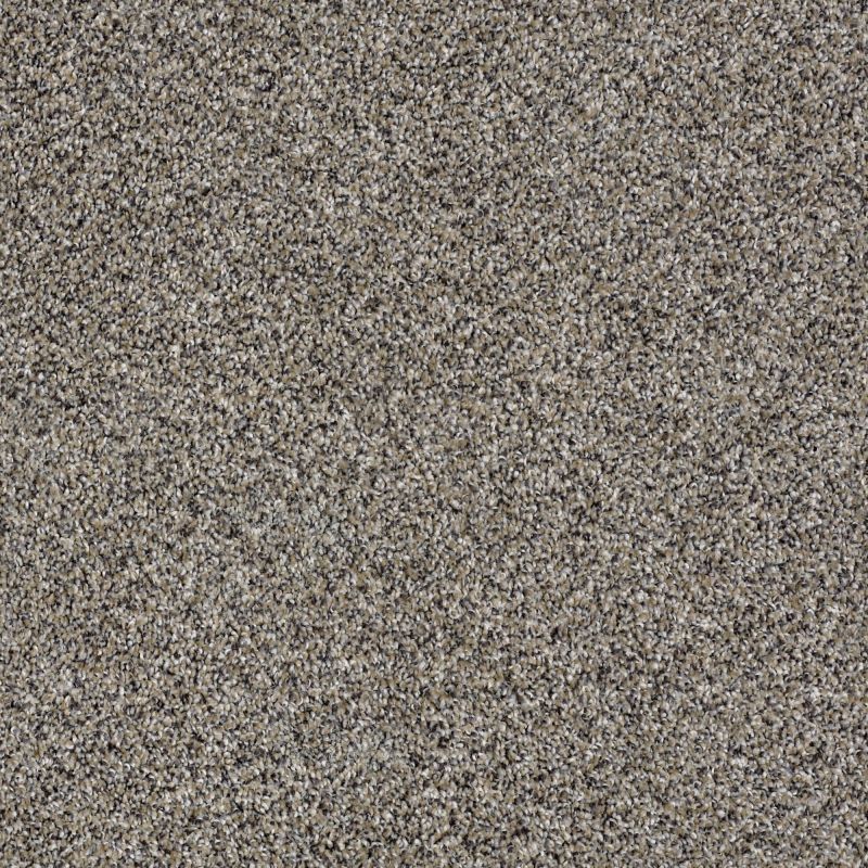 Shaw Floors Value Collections Go All Out Burnt Ash
