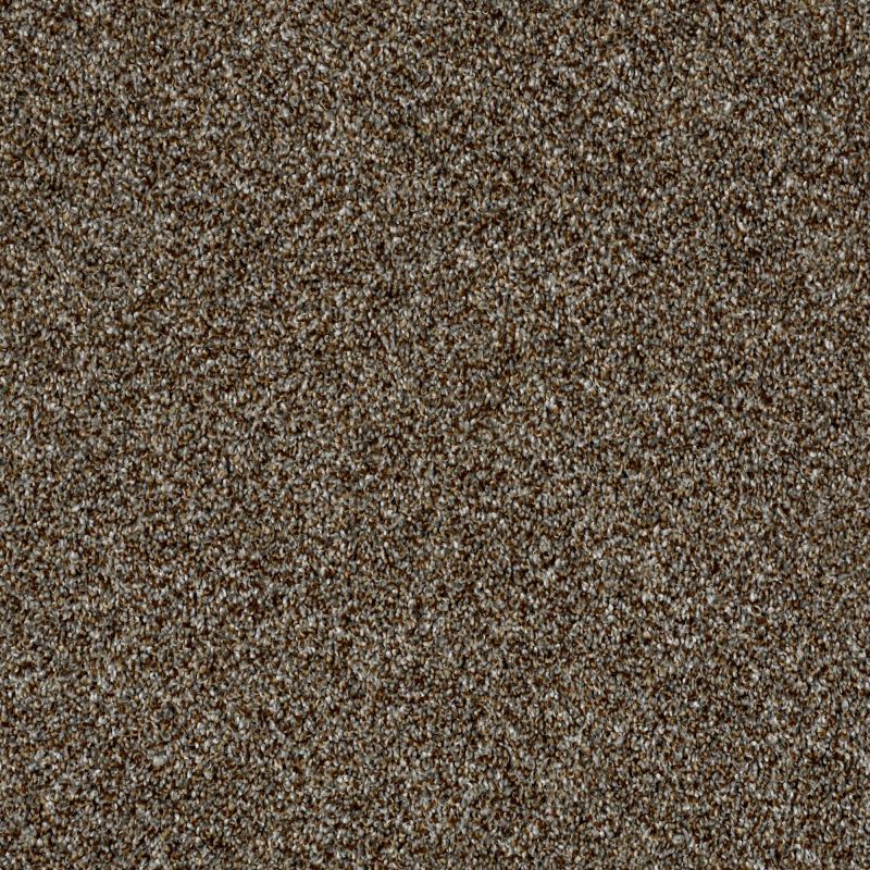 Shaw Floors Value Collections Go All Out Rocky Trail