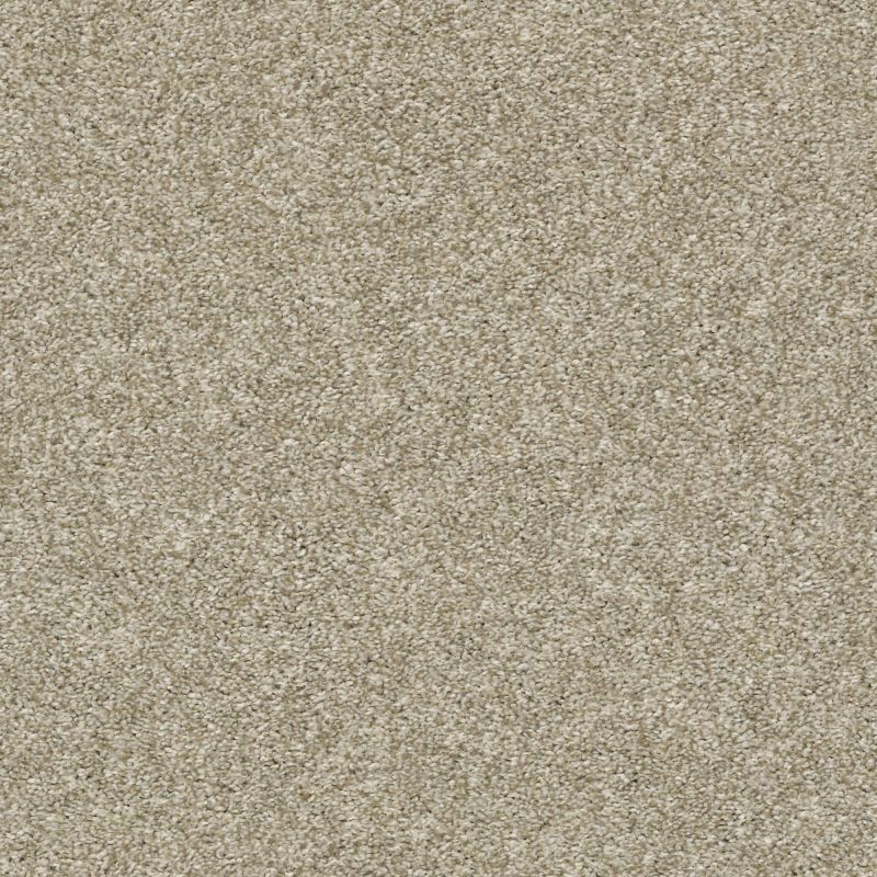 Shaw Floors Value Collections Frappe I Latte