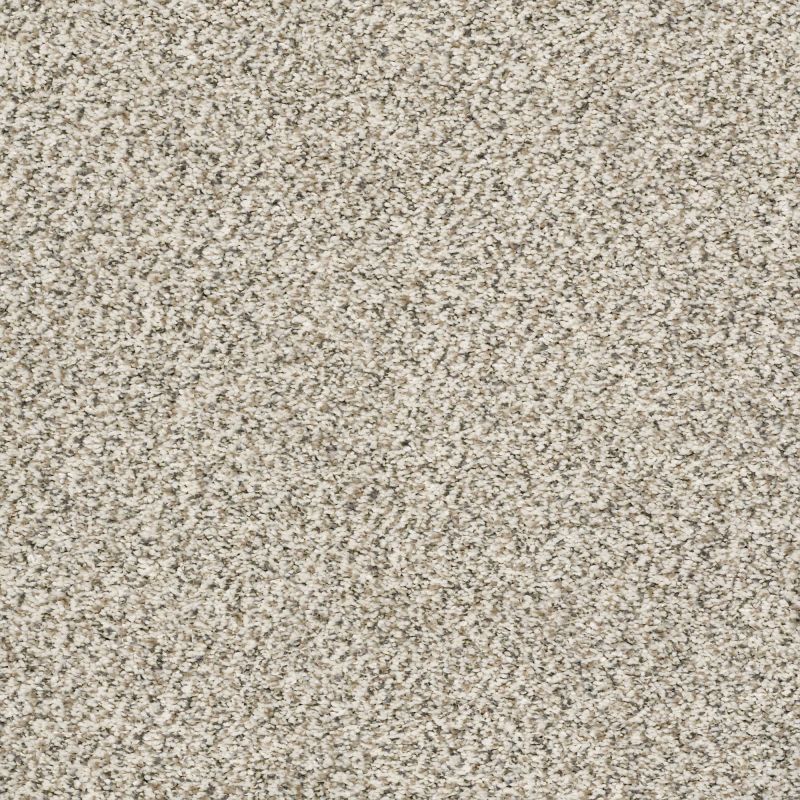 Shaw Floors Value Collections Marks The Spot II Goose Feather