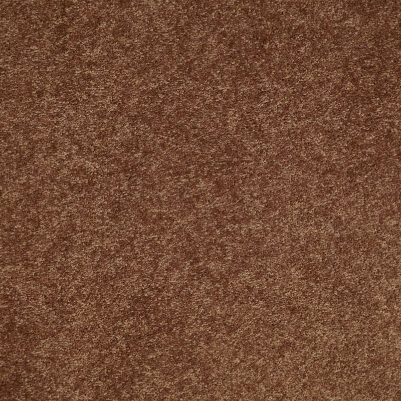 Shaw Floors Value Collections Main Stay 15' Pottery