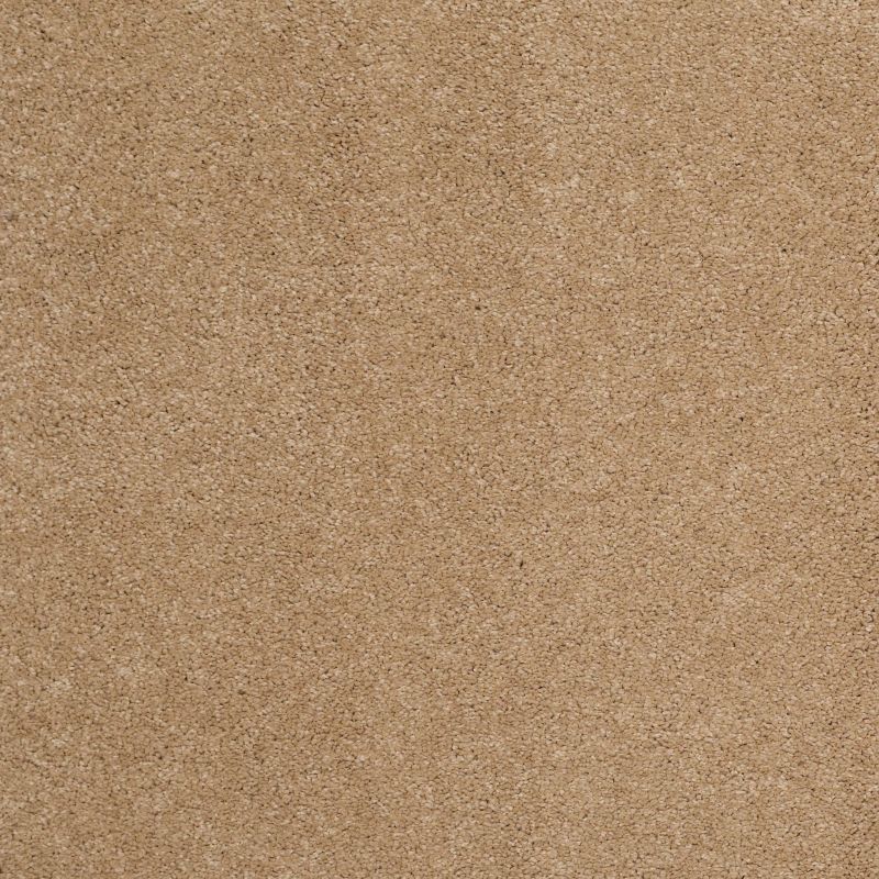 Shaw Floors Value Collections Cashmere Classic I Net Brass Lantern