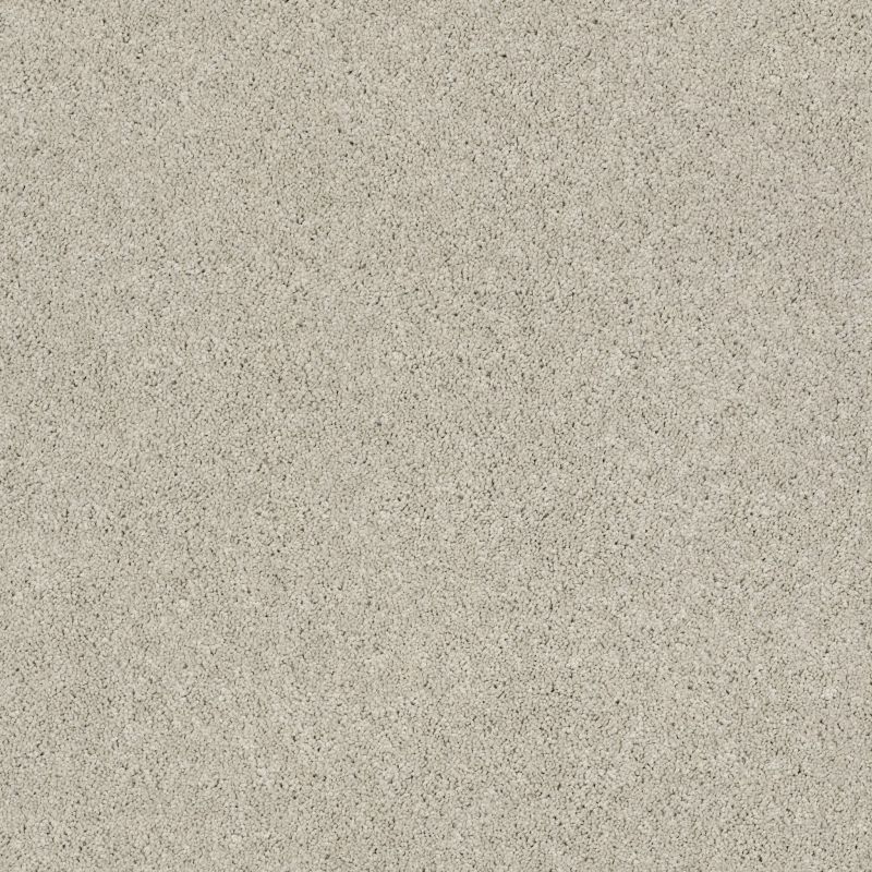 Shaw Floors Value Collections Cashmere Classic I Net Spearmint
