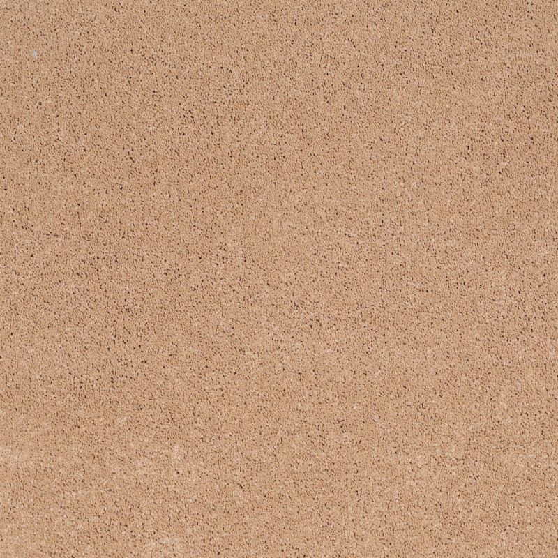 Shaw Floors Value Collections Cashmere Classic I Net Maplewood North
