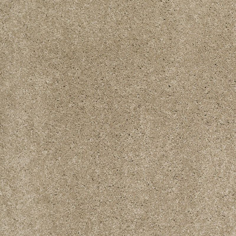 Shaw Floors Value Collections Cashmere Classic I Net Pecan Bark