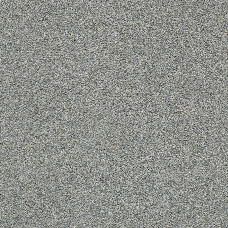 Shaw Floors Simply The Best Cabana Life (t) Stainless