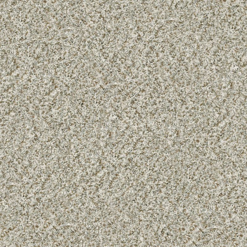 Shaw Floors Simply The Best Cabana Life (b) Seashell