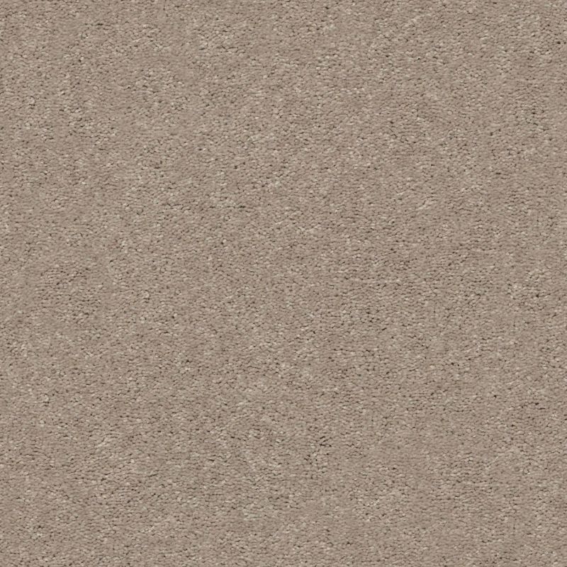 Shaw Floors Simply The Best Attainable Pebble Path