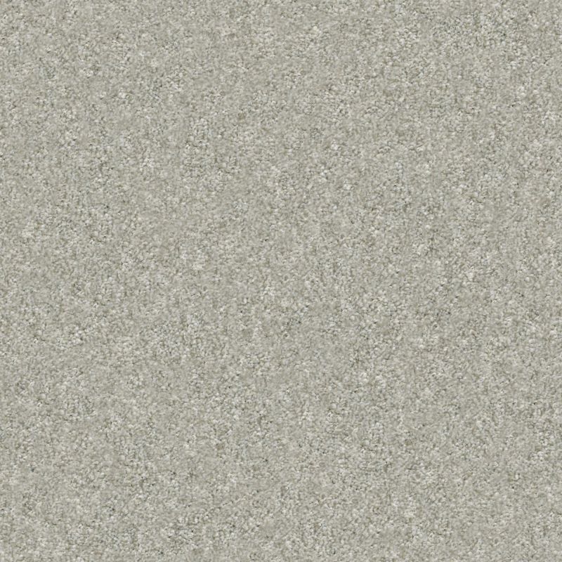 Shaw Floors Simply The Best Attainable Soft Fleece