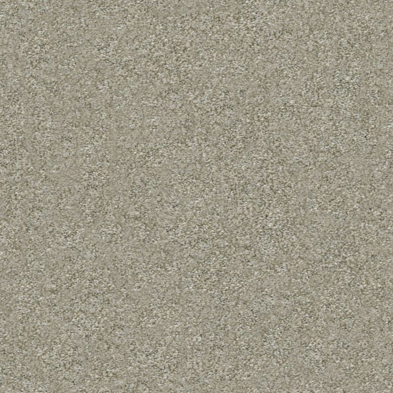 Shaw Floors Simply The Best Attainable Winter Dunes