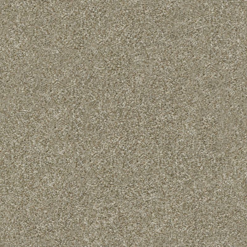 Shaw Floors Simply The Best Attainable Grecian Tan