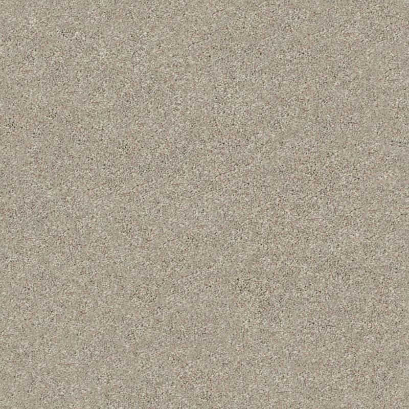 Shaw Floors Simply The Best Momentum I Driftwood