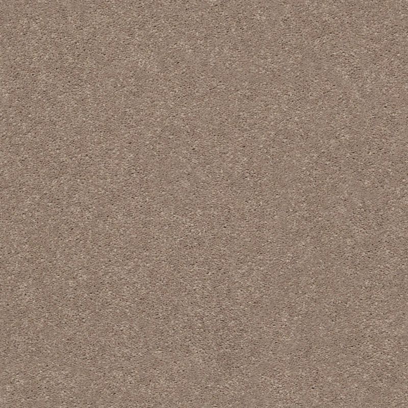 Shaw Floors Simply The Best Momentum I Canyon Buff