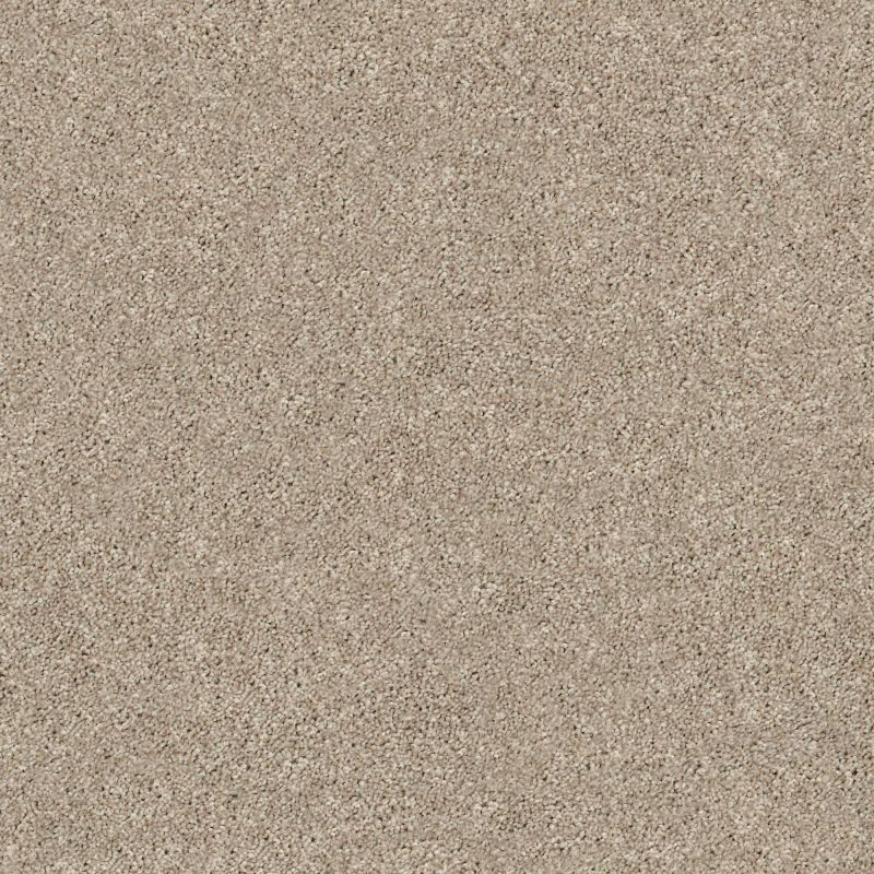 Shaw Floors Simply The Best Momentum II High Beam