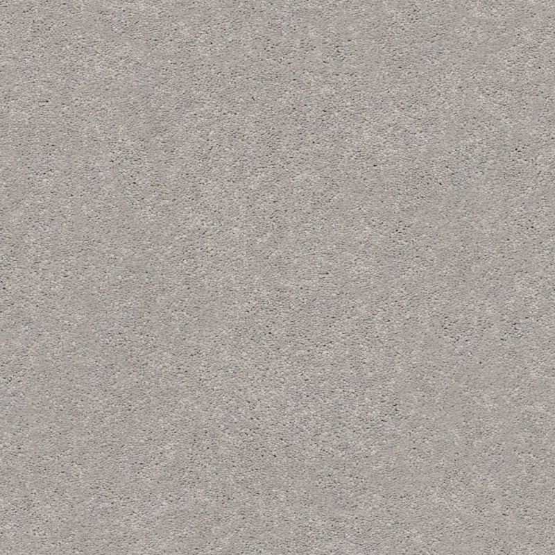 Shaw Floors Simply The Best Momentum II Subtle Touch