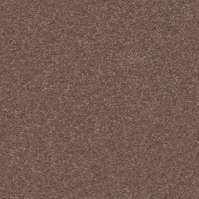 Shaw Floors Simply The Best Momentum II Farmhouse